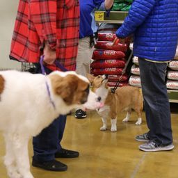 photograph by PeterW